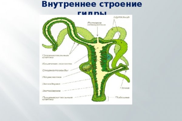 Магазин даркнет krakn cc